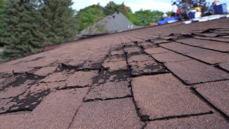 Best Roof Installation  in Springmont, PA